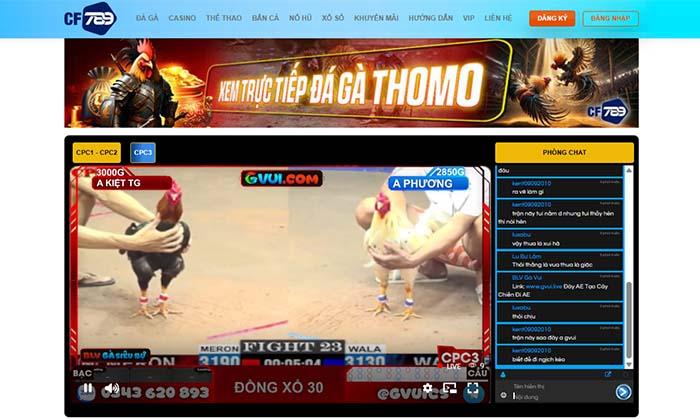Xem trực tiếp đá gà Thomo miễn phí tại CF789 Xem trực tiếp đá gà Thomo miễn phí tại CF789