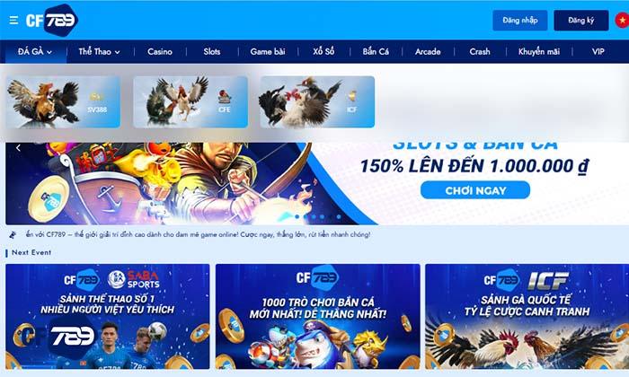 3 sảnh cược hàng đầu tại Đá Gà Trực Tuyến CF789 3 sảnh cược hàng đầu tại Đá Gà Trực Tuyến CF789