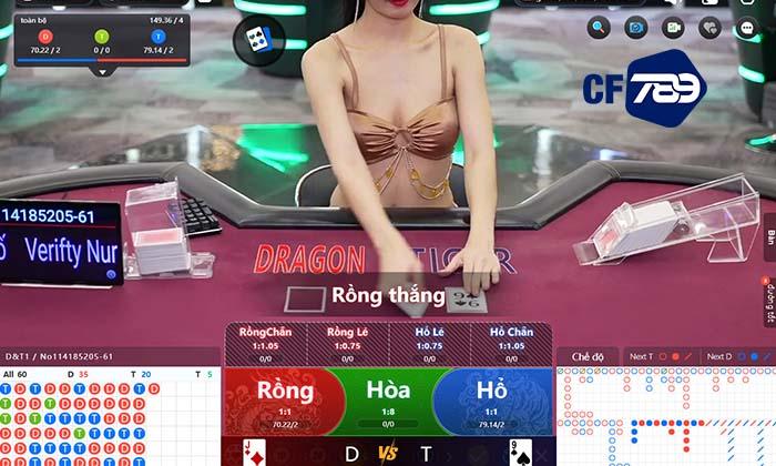 Các thuật ngữ trong Rồng Hổ Online tại Casino CF789 Các thuật ngữ trong Rồng Hổ Online tại Casino CF789