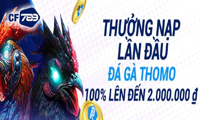 Thưởng Nạp Đầu Đá Gà Thomo-tặng thưởng tối đá 2.000.000 VNĐ Thưởng Nạp Đầu Đá Gà Thomo-tặng thưởng tối đá 2.000.000 VNĐ